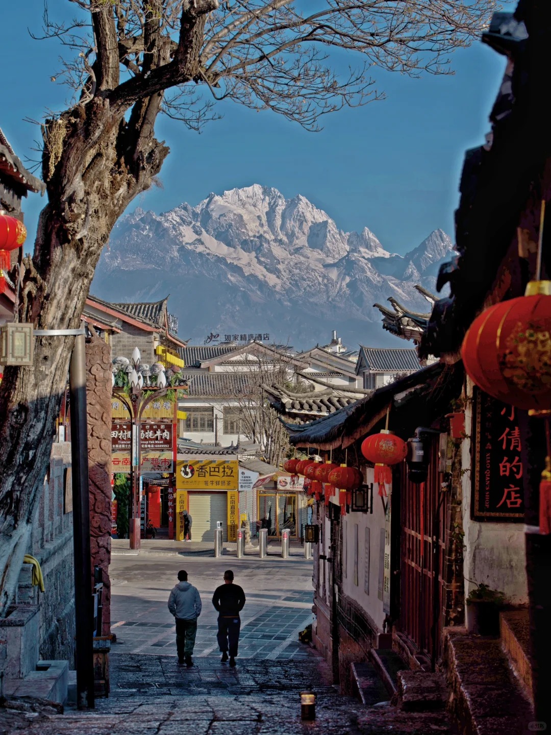第一次来丽江，直接复制这份雪山机位‼